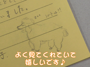 中学校へ模擬授業に行ってきました！